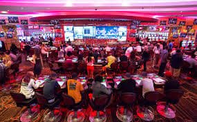 Tampilan layar permainan Dragon Tiger Live dengan dealer profesional di studio premium permata123